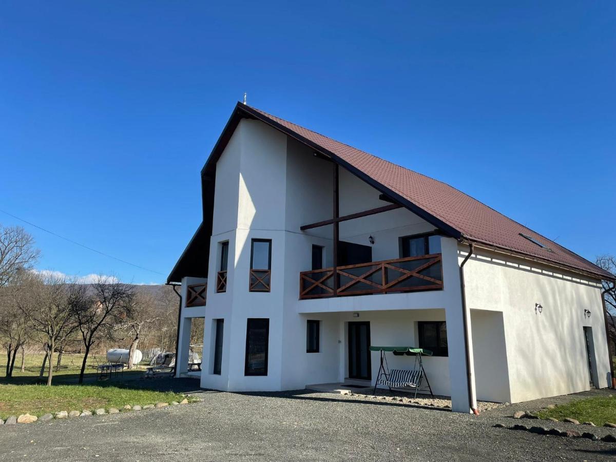 Pensiunea Rnb Maramures Surdesti  Exterior foto